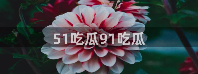 51吃瓜nanataipei:51吃瓜91吃瓜