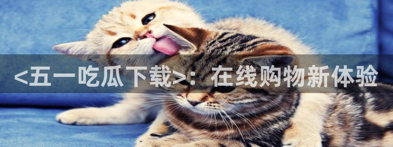 高血糖可以吃籽瓜吗:<五一吃瓜下载>:在线购物新体验