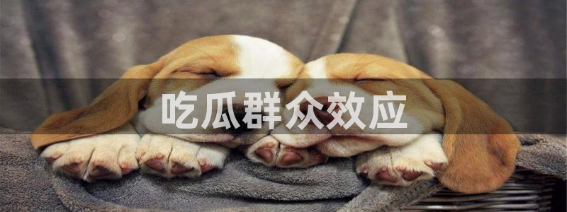 51cg热门大瓜今日吃瓜:吃瓜群众效应