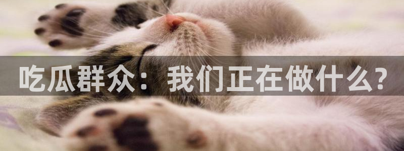 长生武道:从九龙夺嫡开始吃瓜:吃瓜群众:我们正在做什么?