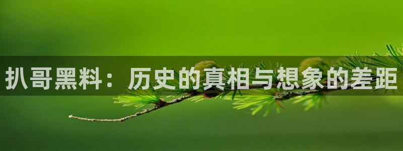 吃瓜新闻:扒哥黑料:历史的真相与想象的差距