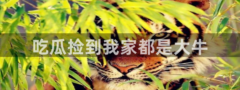 91吃瓜今日吃瓜入口:吃瓜捡到我家都是大牛